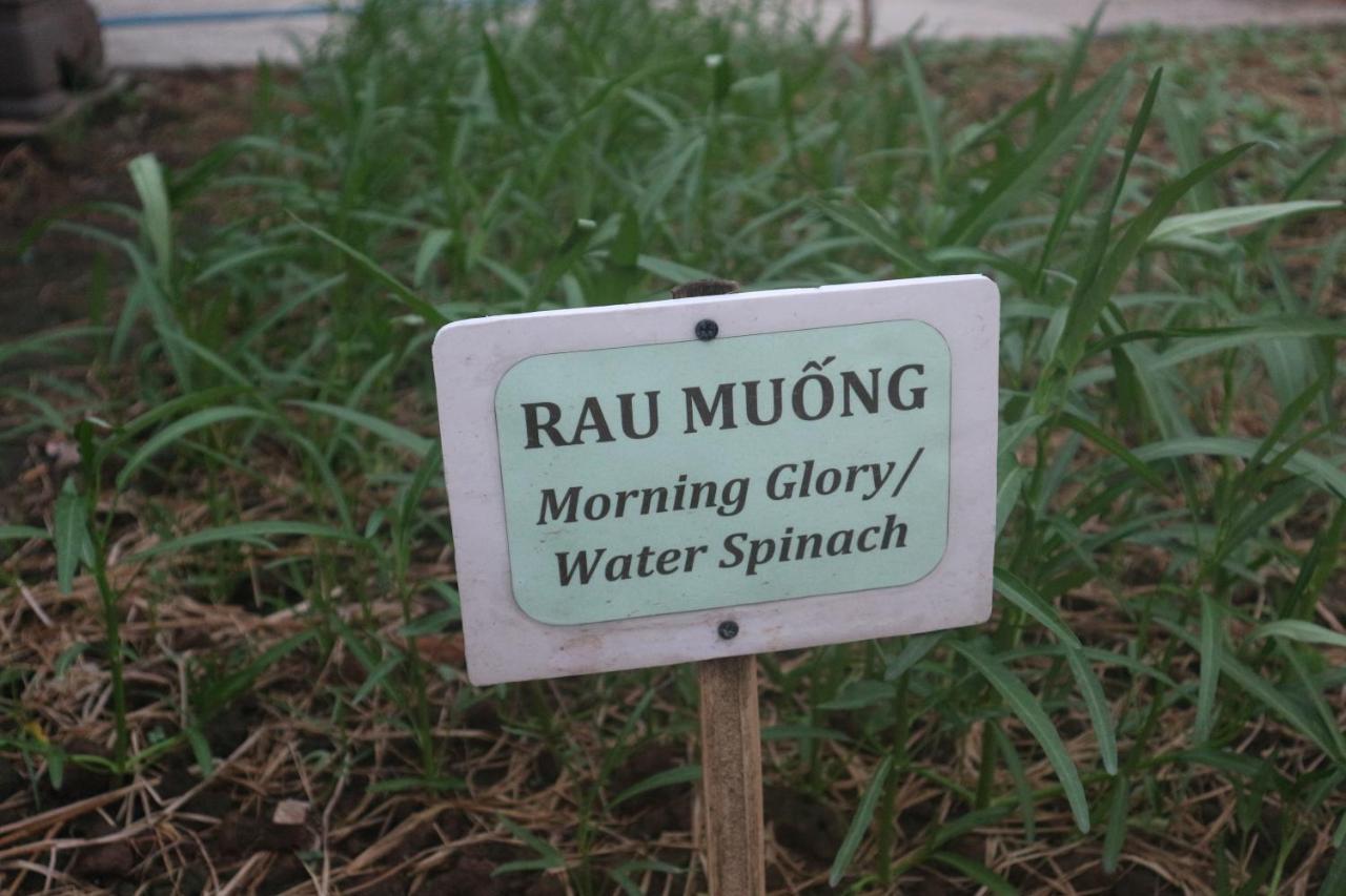Sadec Farmstay - Khu Du LịCh Hoa KiẻNg Sa DéC Ap Khanh Nghia Eksteriør billede